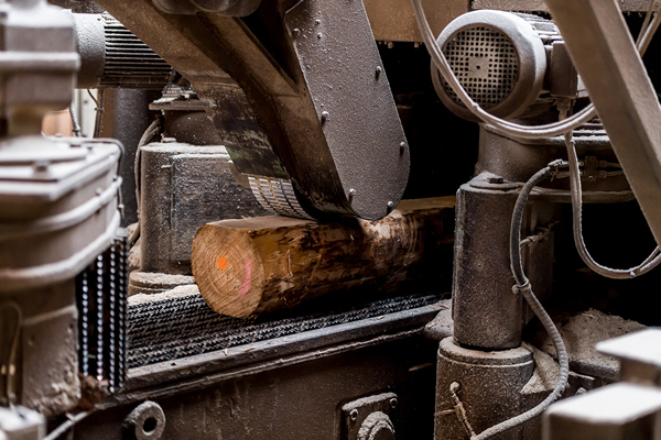 Copyright_pfeifer_group_02905_C Pfeifer Timber GmbH _Uwe Mühlhäusser kl.jpg