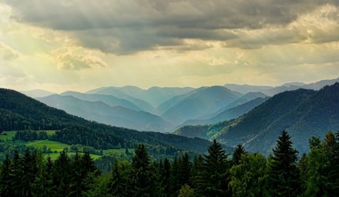 pixabay nature-3616194_1920.jpg