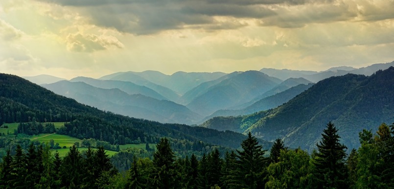 pixabay nature-3616194_1920.jpg