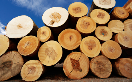 © proHolz Fotograf Peter Melbinger m120423c139 kl.jpg