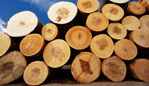 © proHolz Fotograf Peter Melbinger m120423c139 kl.jpg