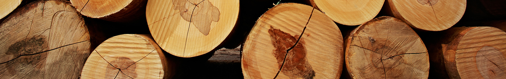 © proHolz Fotograf Peter Melbinger m120423c139 kl.jpg