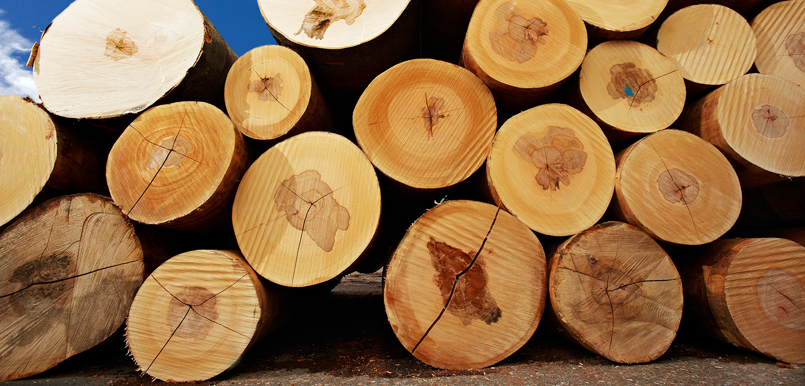 © proHolz Fotograf Peter Melbinger m120423c139 kl.jpg