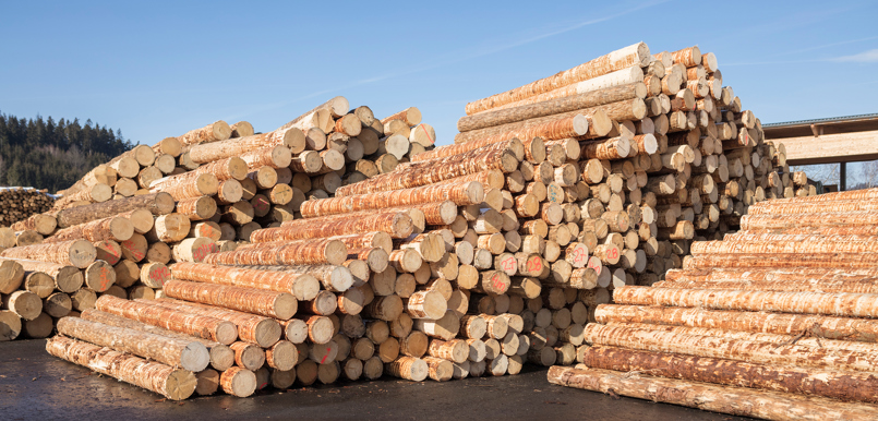 ProHolz_Sägewerk Hahn_0166 @proHolz Austria Wurnig_kl.jpg