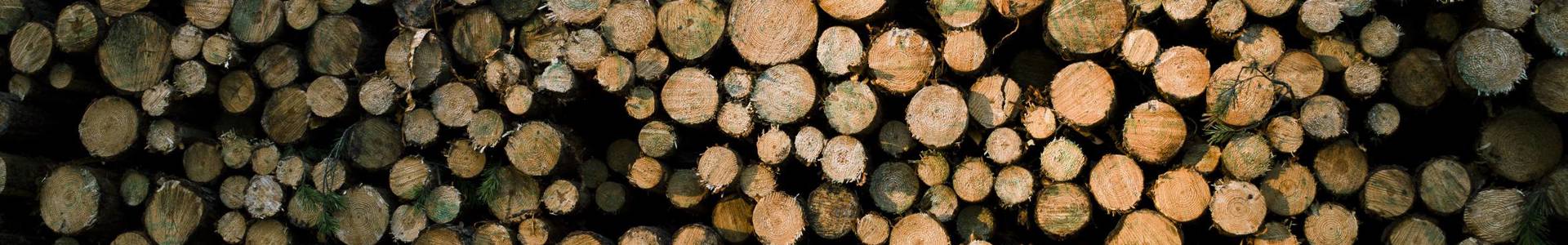 © Stora Enso_RH 2.jpg