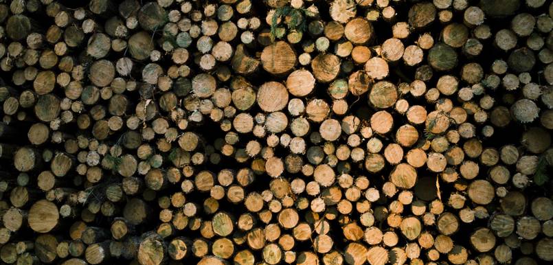 © Stora Enso_RH 2.jpg