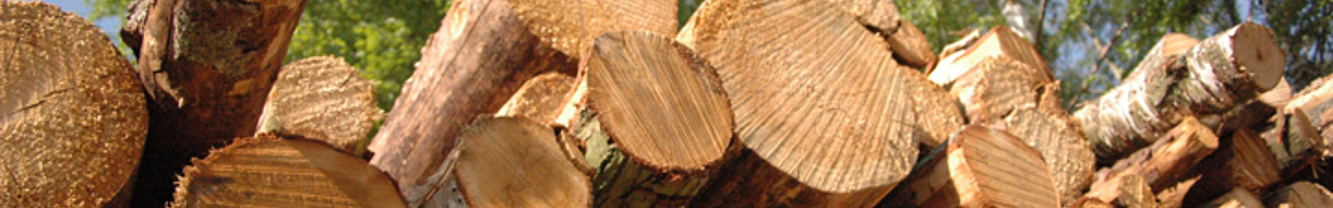 © Stora Enso_RH 5.jpg