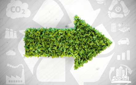 iStock-578554630 Mittel.jpg