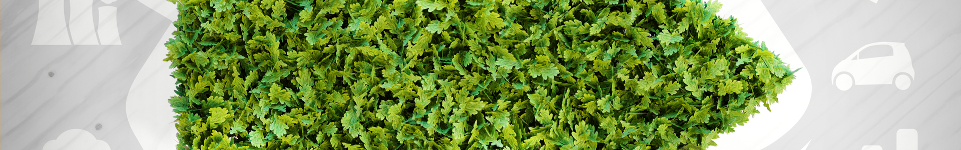 iStock-578554630 Mittel.jpg