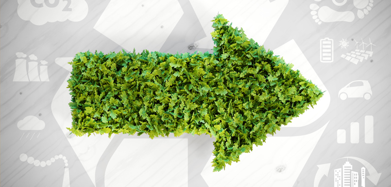 iStock-578554630 Mittel.jpg