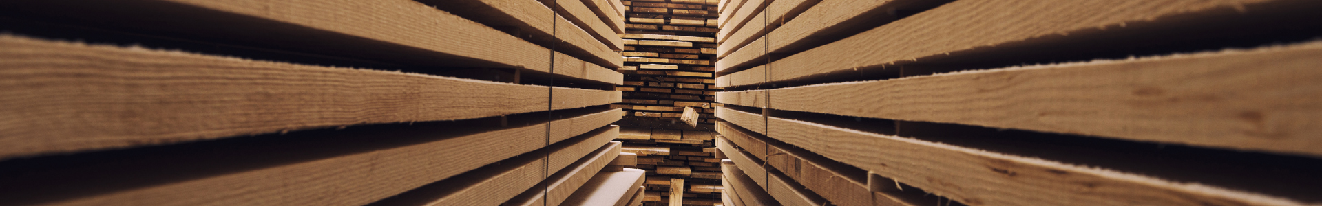 iStock-1205610208 Mittel.jpg