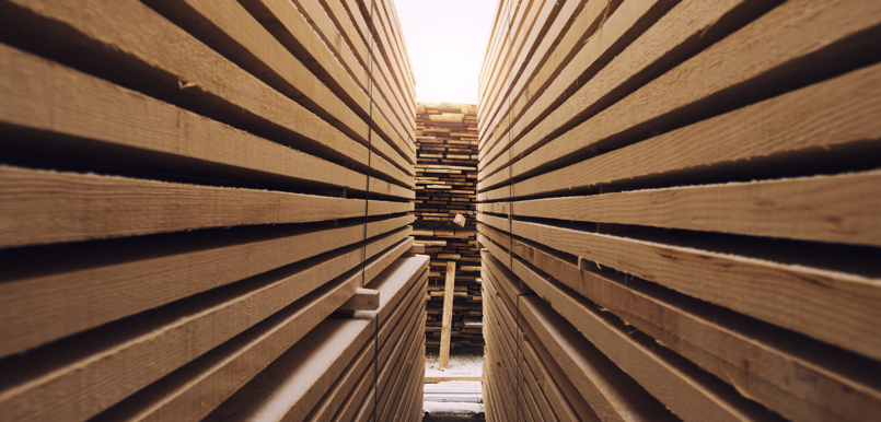 iStock-1205610208 Mittel.jpg