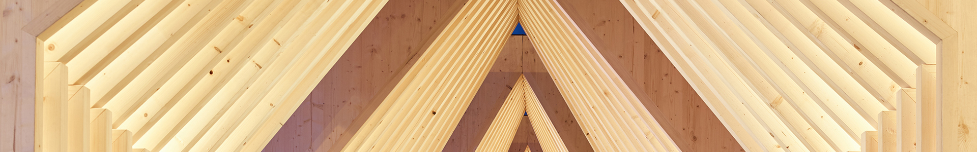 016_wood-passage-linz_atelier-andrea-gassner_hermann-kaufmann_proholz-austria_by_kurt-hoerbst_202450 kl.jpg