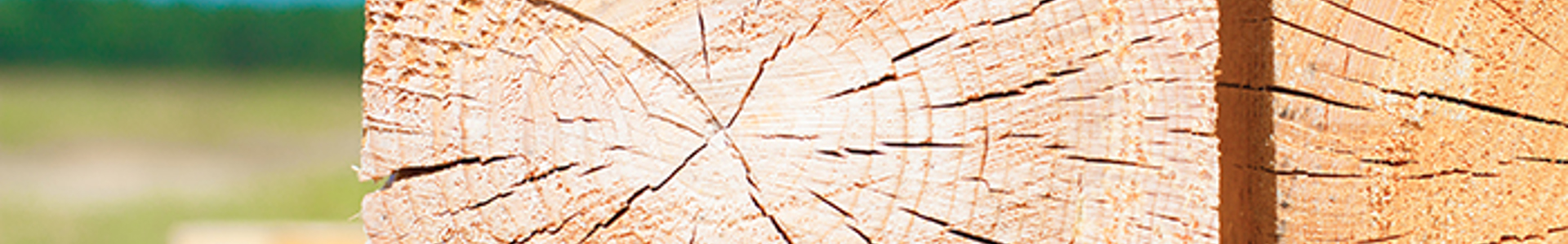 AdobeStock_63778072 kl.jpg