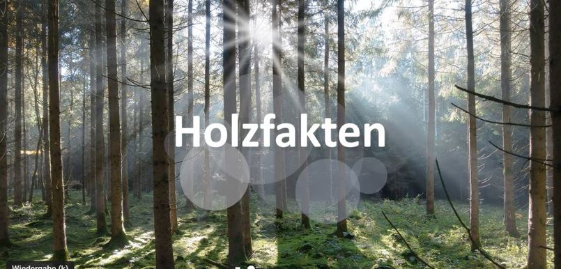 Holzfakten Titelbild.JPG