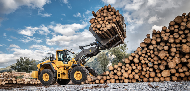 Troger Holz © bild[ART]isten T1120955.jpg