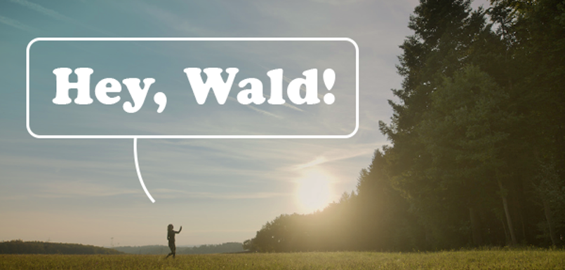 Hey Wald Teaser 2Zu1