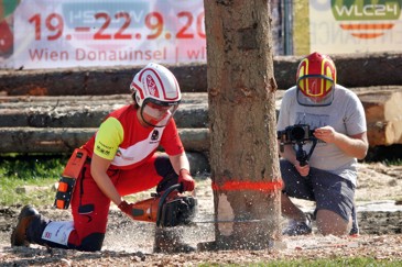 Modl Beim Fällen C Danzer
