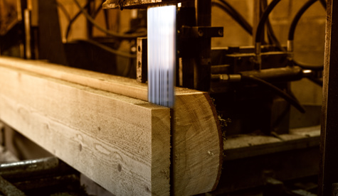 Adobestock 175809724